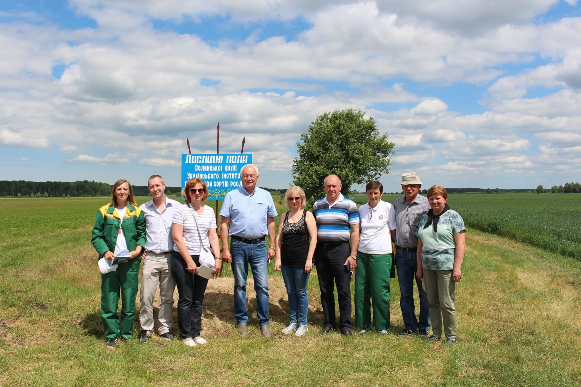 Кваліфікаційна експертиза