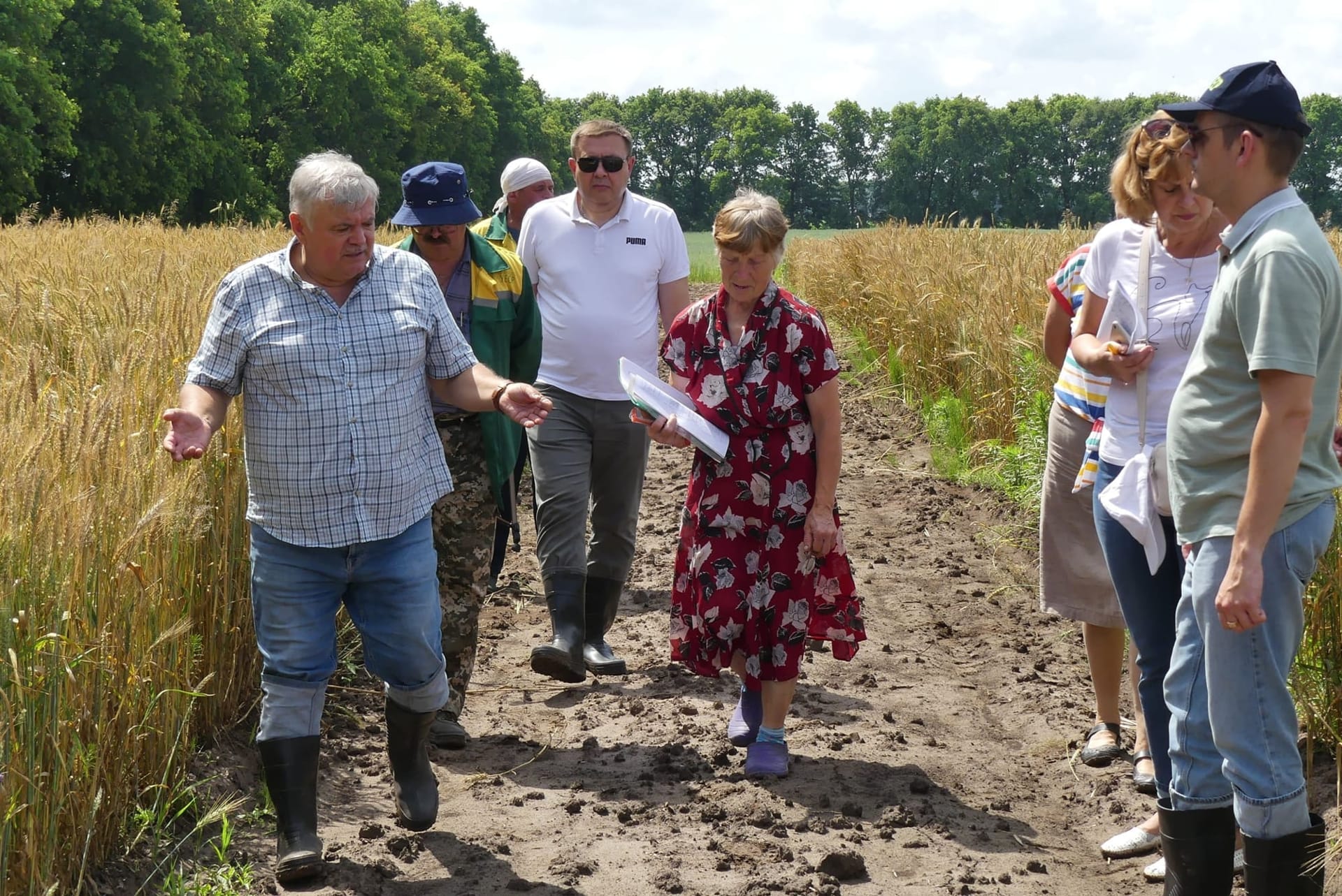 Кваліфікаційна експертиза