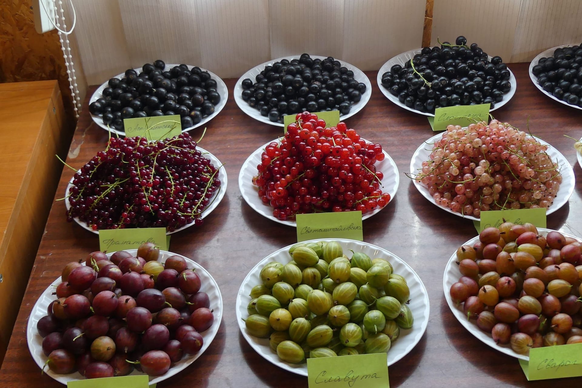 Кваліфікаційна експертиза