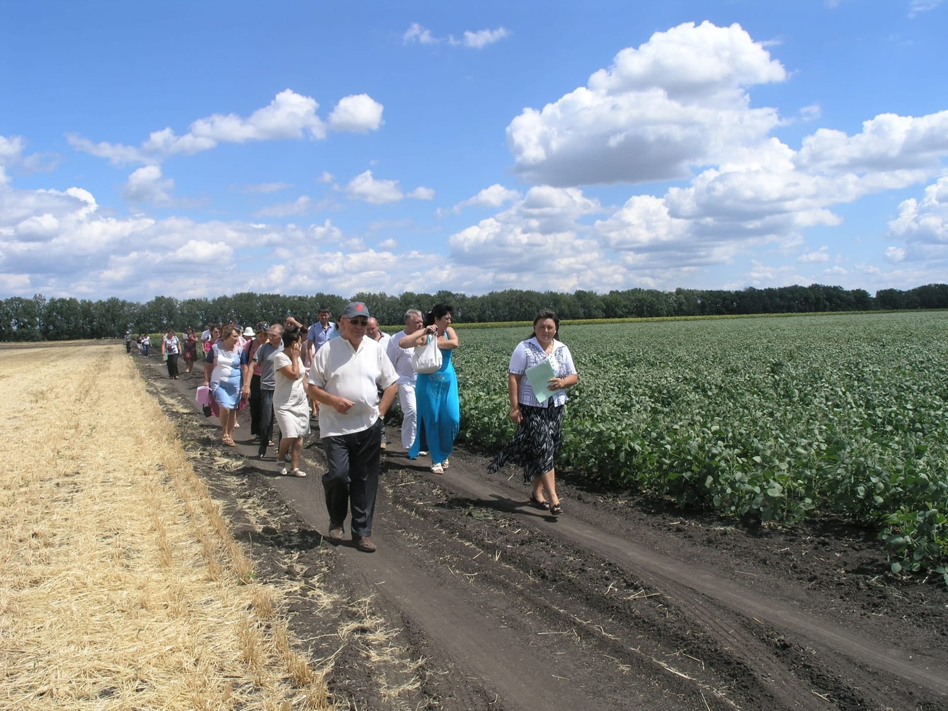 Кваліфікаційна експертиза