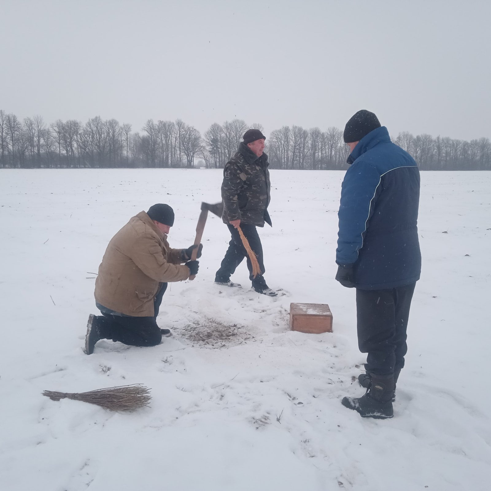 Кваліфікаційна експертиза