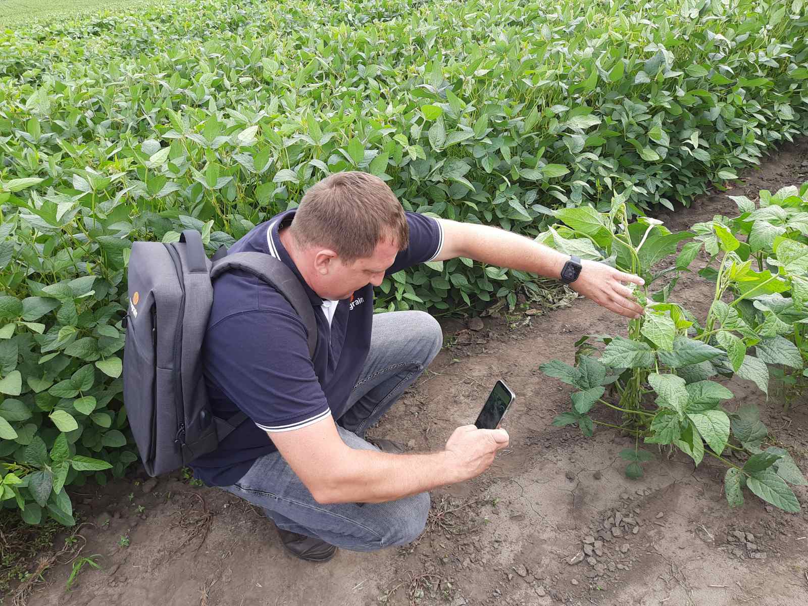 Кваліфікаційна експертиза