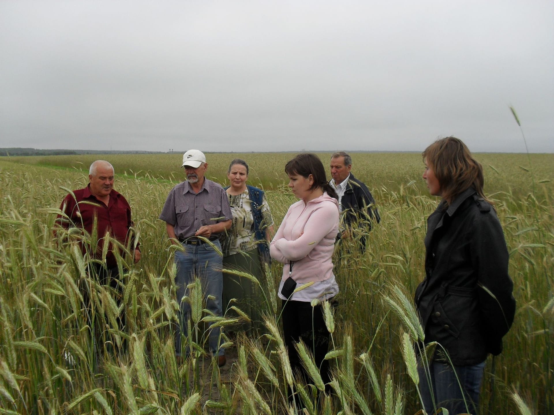 Кваліфікаційна експертиза