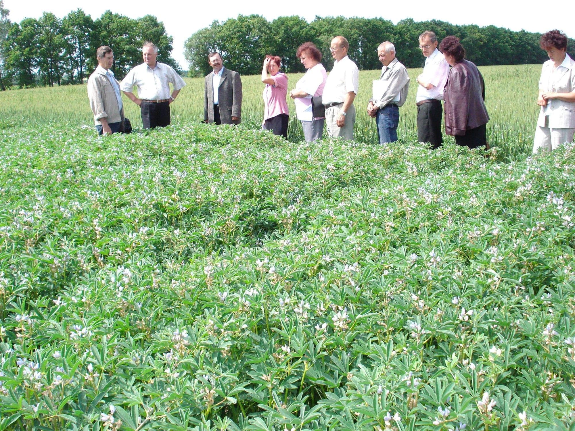 Кваліфікаційна експертиза