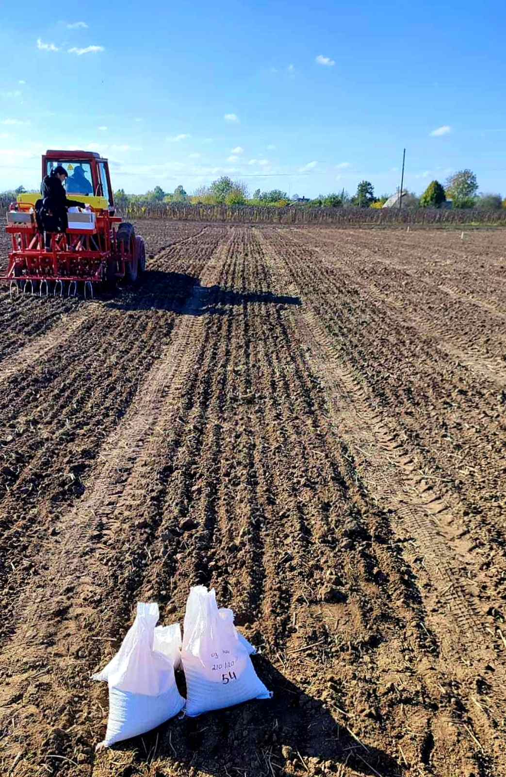 Кваліфікаційна експертиза