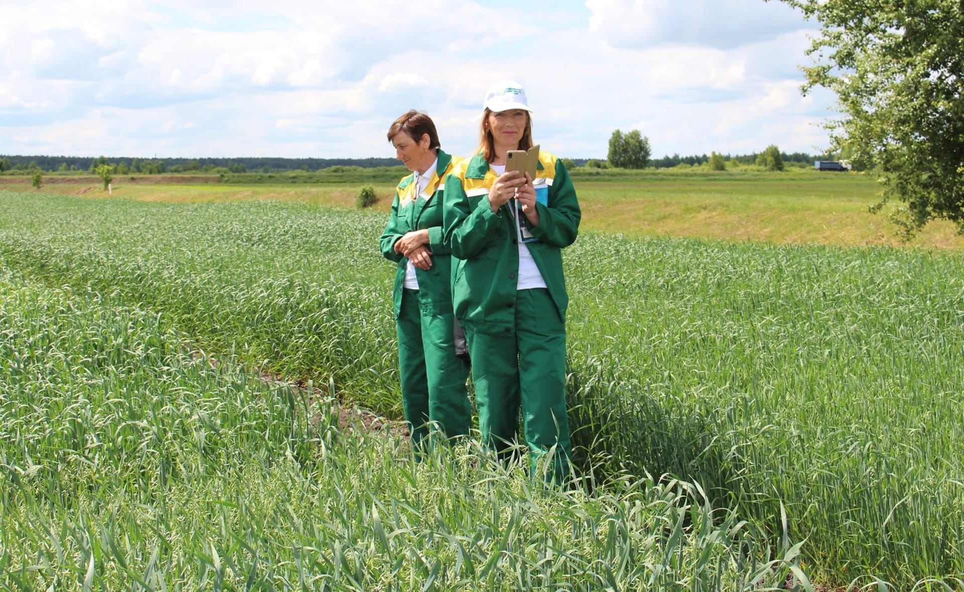 Кваліфікаційна експертиза
