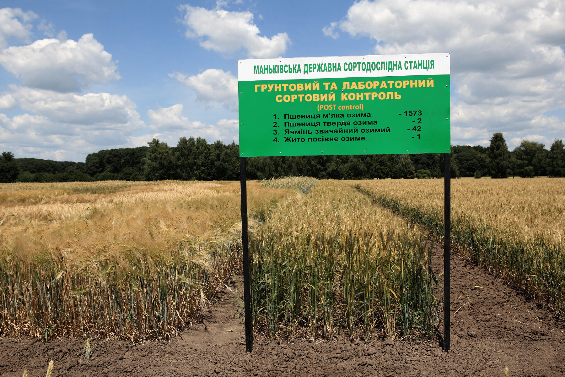 Сорти рослин