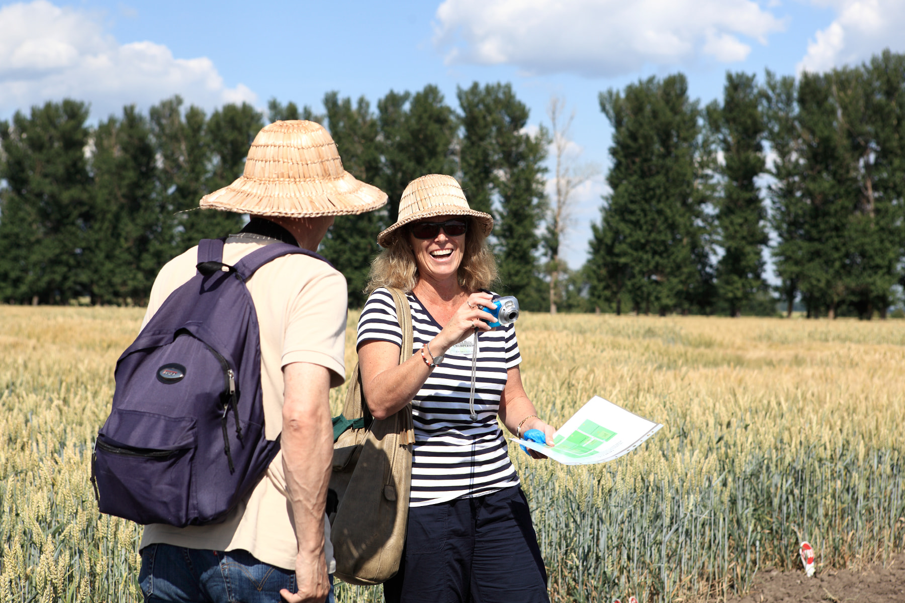 Сорти рослин