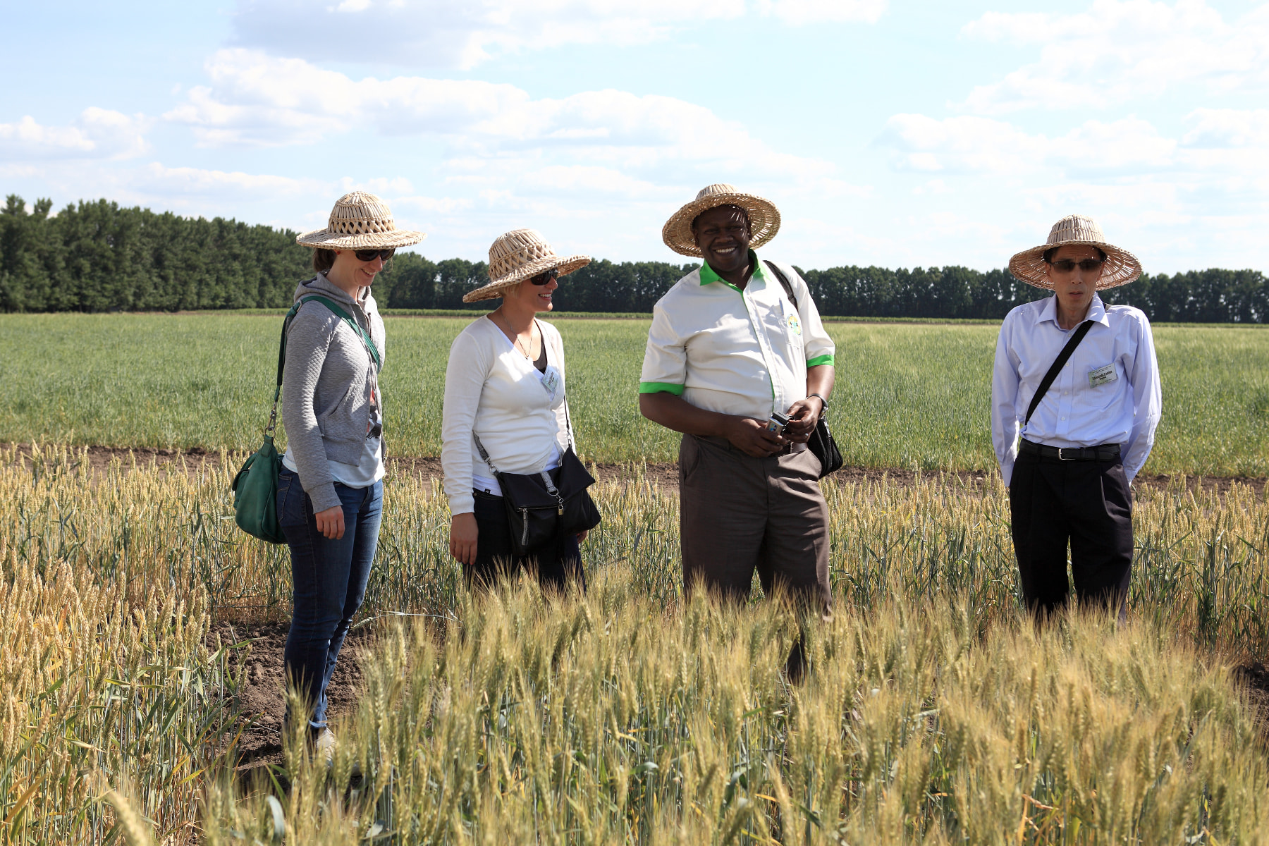 Сорти рослин